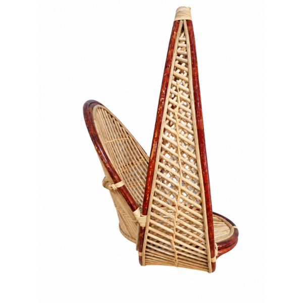 Rattan Egg-shape swing .